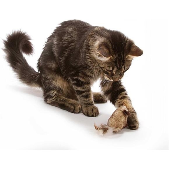 Twice the Mice Cat Toy, 2pc (Interactive Catnip Toy) - Picture 6 of 8